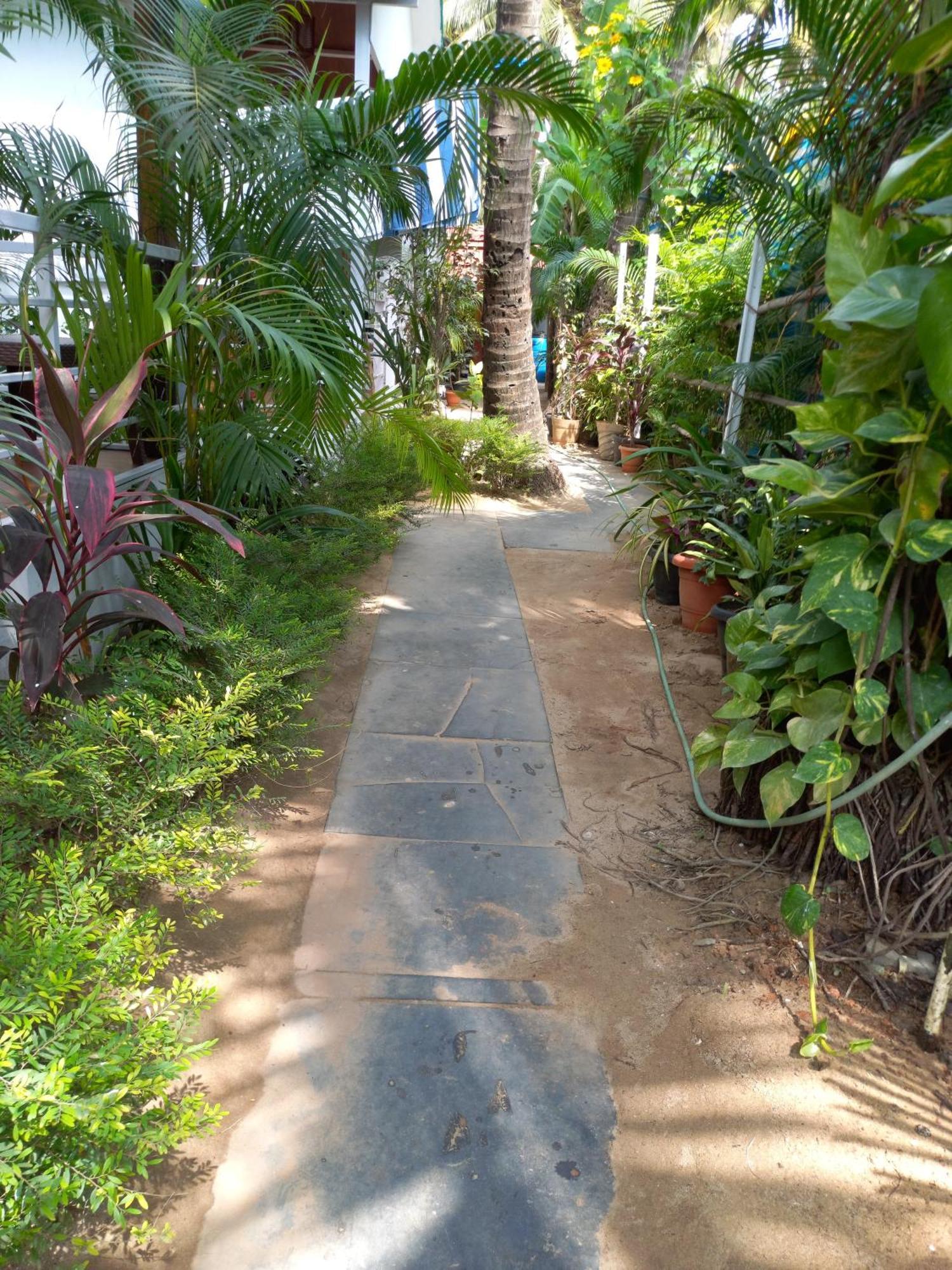 Royal Castle Resort Palolem, Canacona Exterior photo